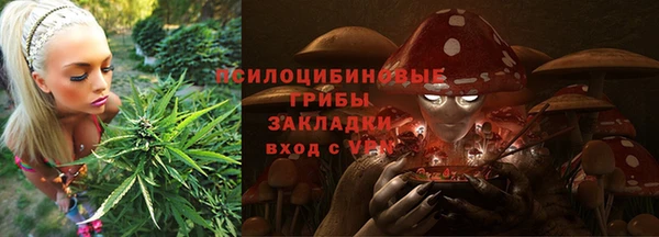 бутират Горняк