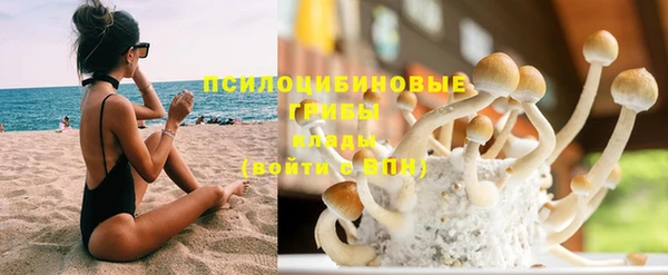 альфа пвп Горнозаводск