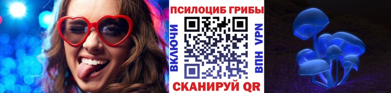 Псилоцибиновые грибы MAGIC MUSHROOMS  Купить закладки  Хасавюрт 